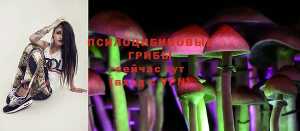 марки nbome Белокуриха